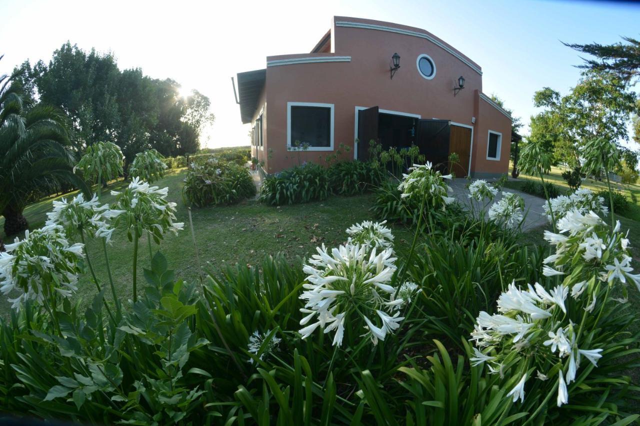 La Monturera, Loft De Campo Apartment Colonia del Sacramento Exterior photo