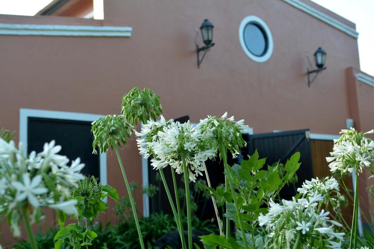 La Monturera, Loft De Campo Apartment Colonia del Sacramento Exterior photo